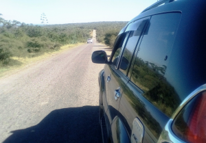 South road of Madagascar