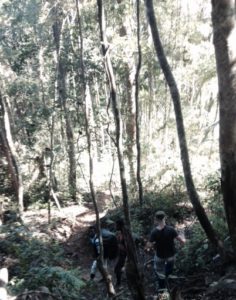 tsitongambarika trekking