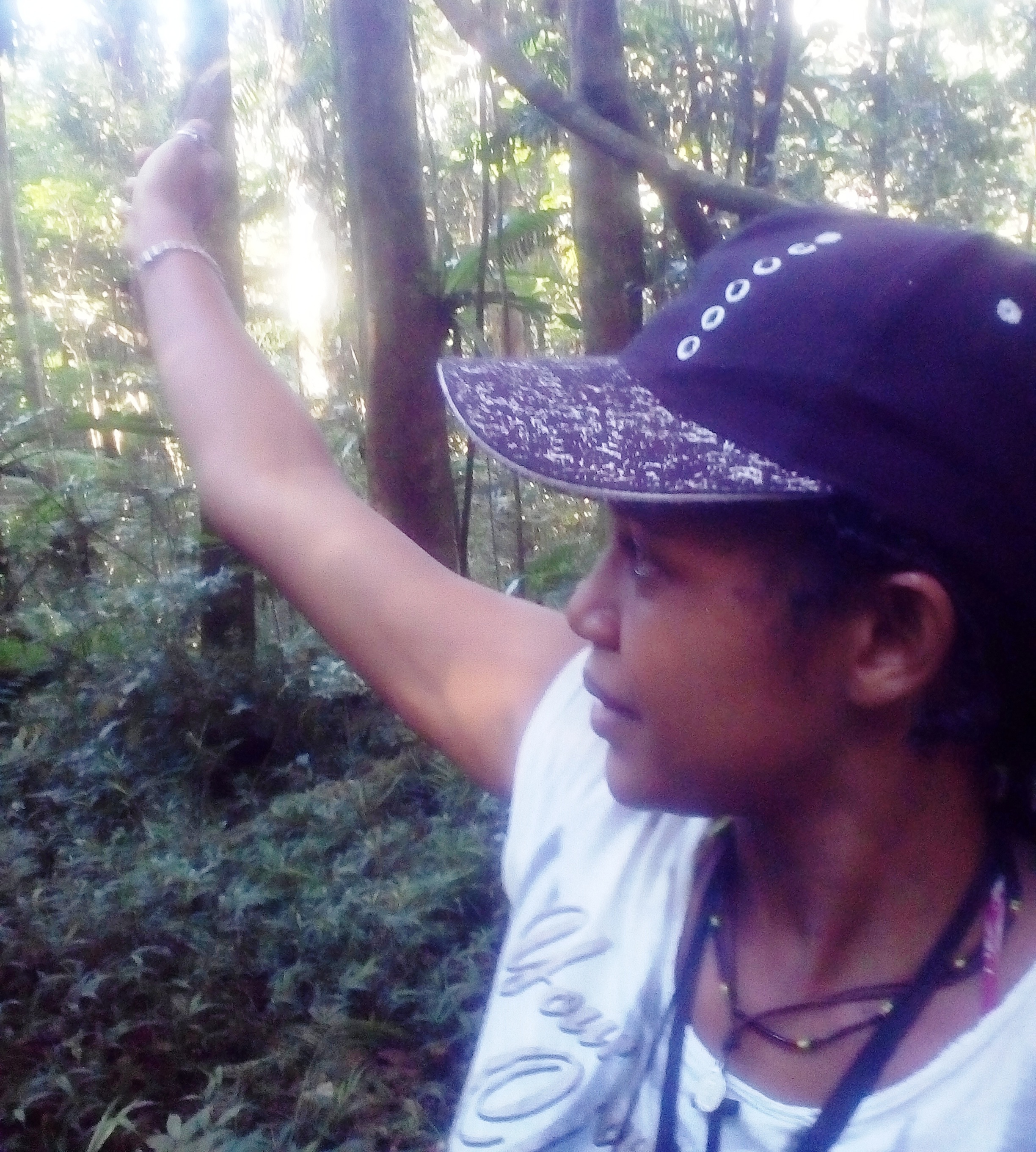Tourist Guide