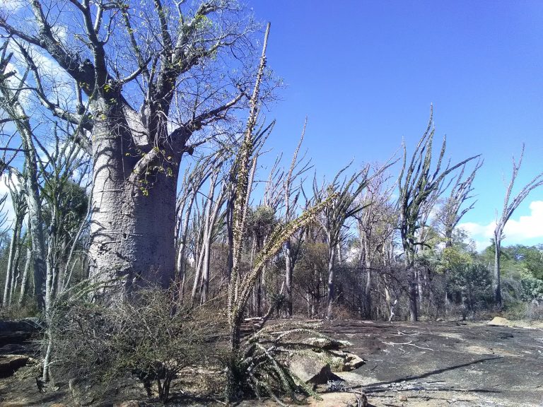 South of Madagascar